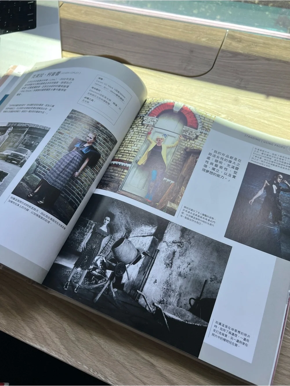 Photographing Models 1000 Poses Eliot Siegel Chinese Edition Photography Book
